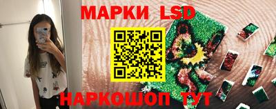 a pvp Камышлов