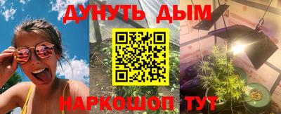 a pvp Камышлов