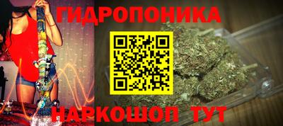 дурь Кандалакша