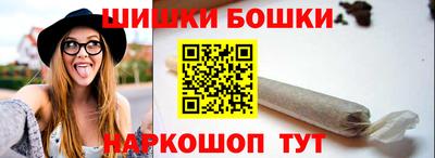a pvp Камышлов