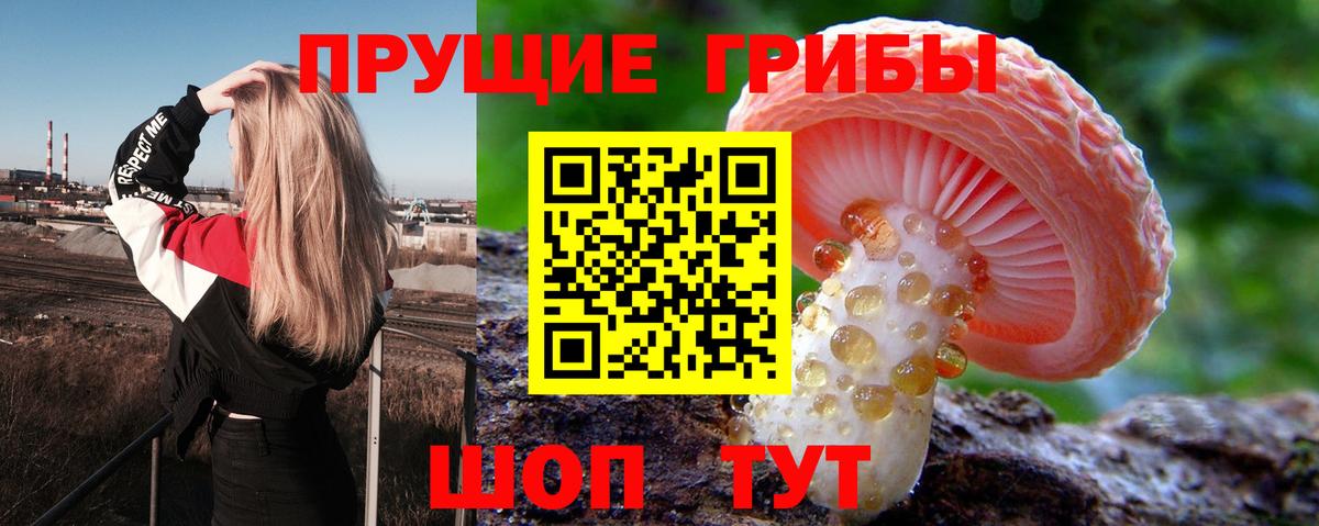Галлюциногенные грибы Magic Shrooms  Вход с VPN  Красноярск 