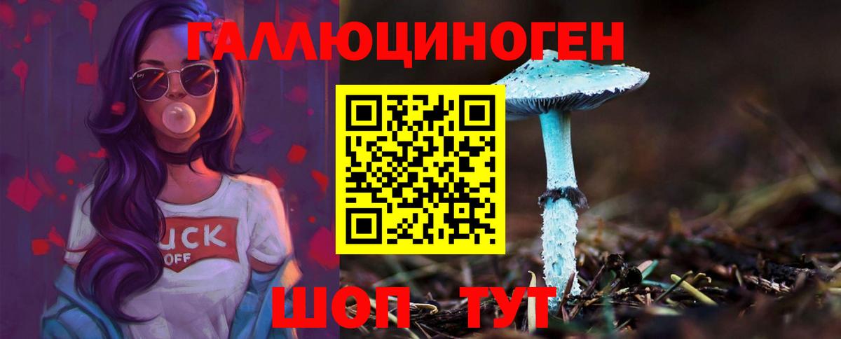 Галлюциногенные грибы Psilocybine cubensis Красноярск